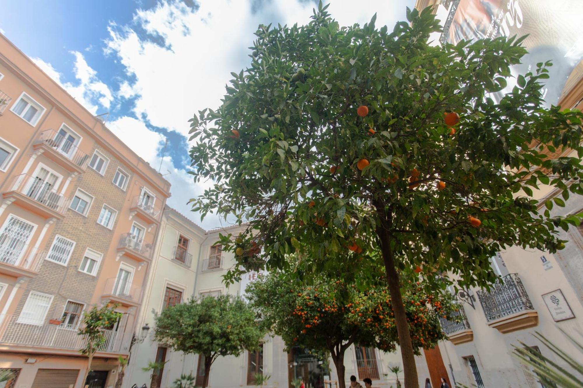 Vlc - Tranquilo Apartamento En Plaza Cisneros Βαλένθια Εξωτερικό φωτογραφία